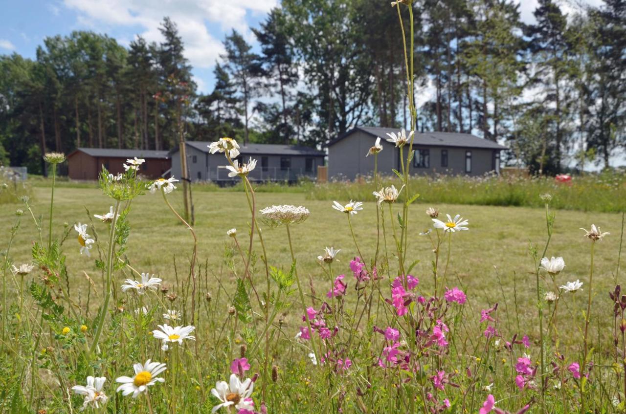 Hollicarrs Holiday Park - Hares Leap Riccall Εξωτερικό φωτογραφία